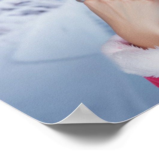 POSTER RAPPY X-MAS (Coin)