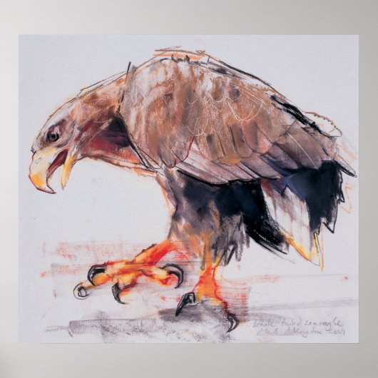 Poster Raptor 2001 (Devant)