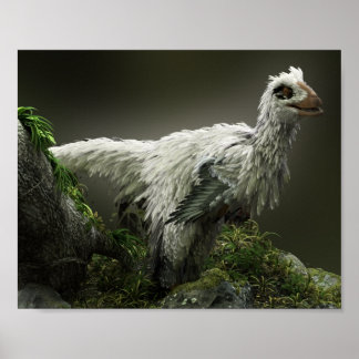 Poster Raptor avec plumes