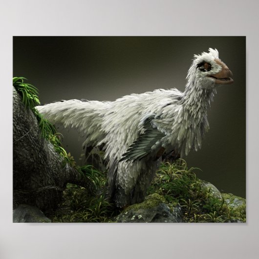 Poster Raptor avec plumes (Devant)