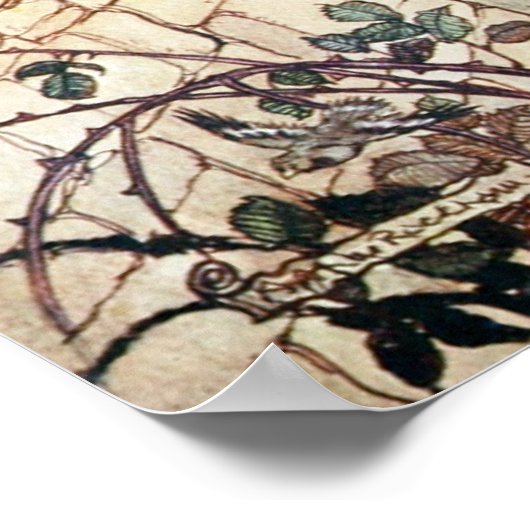 Poster Rapunzel (Coin)