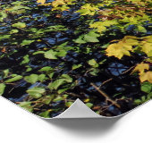 Poster Raquette Lank in the Adirondack print 08 229 (Coin)