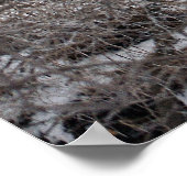 Poster Raquettes hivernales (Coin)