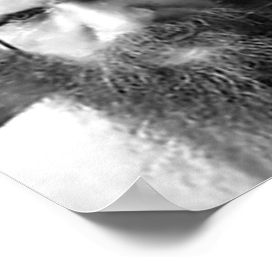 Poster Raspoutine Le Moine Mad (Coin)