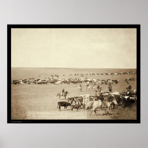 Poster Rassemblement de cowboy à l'écart-type 1887 de