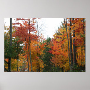 Poster Rassemblement des membres permanents