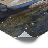 Poster Rassemblement des pingouins (Coin)