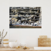 Poster Rassemblement des pingouins (Cuisine)