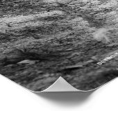 Poster Rassemblement sisal, Nassau, Îles Bahama, c1900 (Coin)