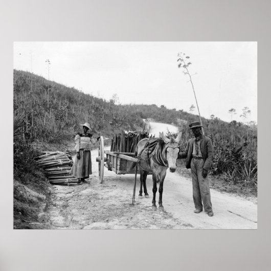 Poster Rassemblement sisal, Nassau, Îles Bahama, c1900 (Devant)