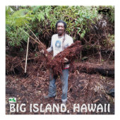 POSTER RASTA FARMER AVEC HAPUU FERN (Devant)