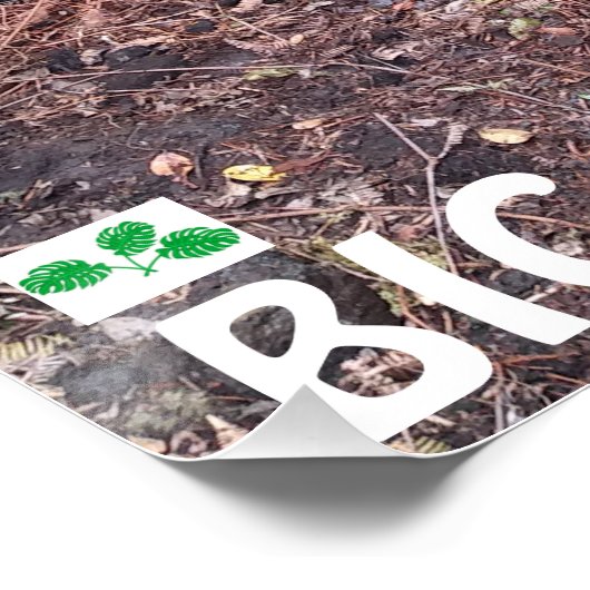 POSTER RASTA FARMER AVEC HAPUU FERN (Coin)