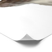 Poster Rat À Capuchon Agouti (Coin)