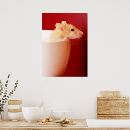 Poster Rat bébé (Cuisine)