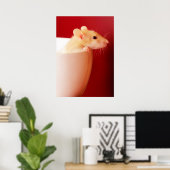 Poster Rat bébé (Bureau à domicile)
