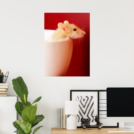 Poster Rat bébé (Bureau à domicile)