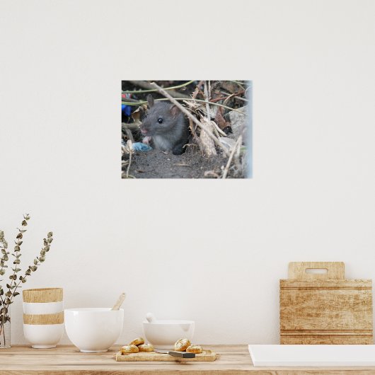 Poster Rat dans un trou d'impression (Cuisine)