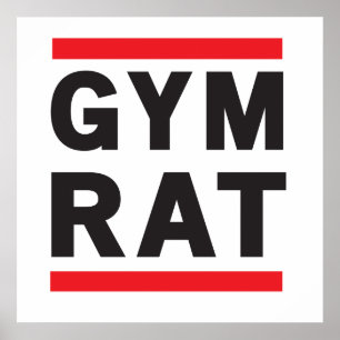 Poster Rat de gymnase