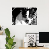 Poster Rat Terrier (Bureau à domicile)