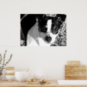 Poster Rat Terrier (Cuisine)