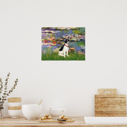 Poster Rat Terrier - Lys 2 (Cuisine)
