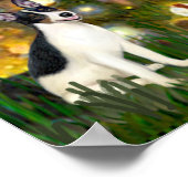 Poster Rat Terrier - MidEve (Coin)