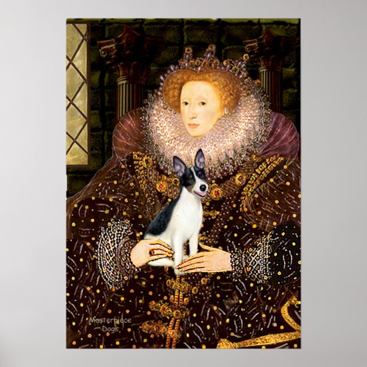 Poster Rat Terrier - Reine (Devant)