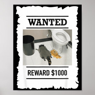 Poster Ratons laveurs ivres drôles recherchés récompense