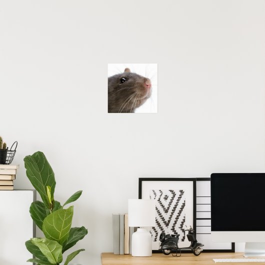 Poster Rats ! ! ! (Bureau à domicile)