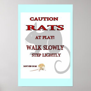 Poster Rats à l'affiche de jeu