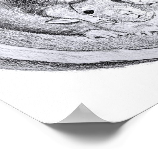 Poster Rats de tube (Coin)