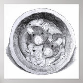 Poster Rats de tube (Devant)