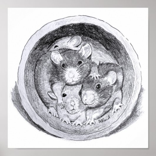 Poster Rats de tube (Devant)