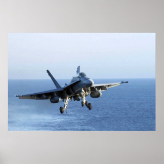 POSTER RATTLERS DE MORT F-18
