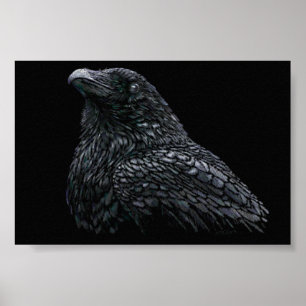 Poster Raven