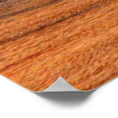 POSTER RAVEN ECLIPSE (Coin)