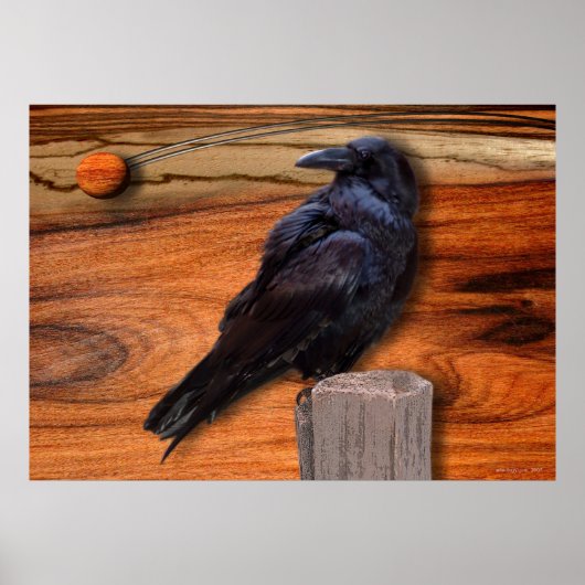 POSTER RAVEN ECLIPSE (Devant)