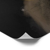 Poster Raven's Rune : Aegishjalmur Magic sur la pierre no (Coin)