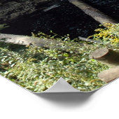 Poster Raymondskill Falls in the Poconos. imprimer 0283-1 (Coin)