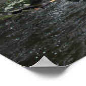 Poster Raymondskill River in the Poconos imprimer 040 (Coin)
