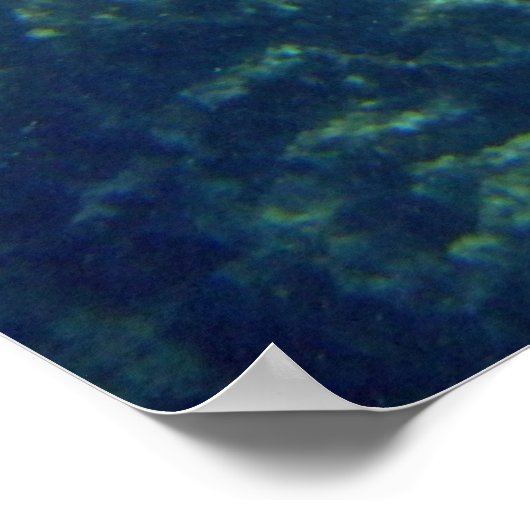 Poster Rayon d'aigle tacheté (Coin)