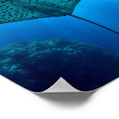 Poster Rayon gracieux : Sérénité sous-marine (Coin)