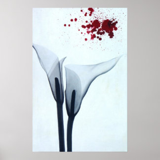 Poster Rayon X Calla Lily