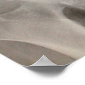 Poster Rayon X Pelvis (Coin)