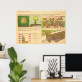 Poster rayonnement pénétrant (Bureau à domicile)