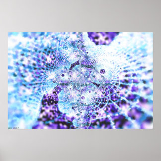 Poster Rayons de célébration 4