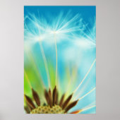 Poster Rayons de lait (Devant)