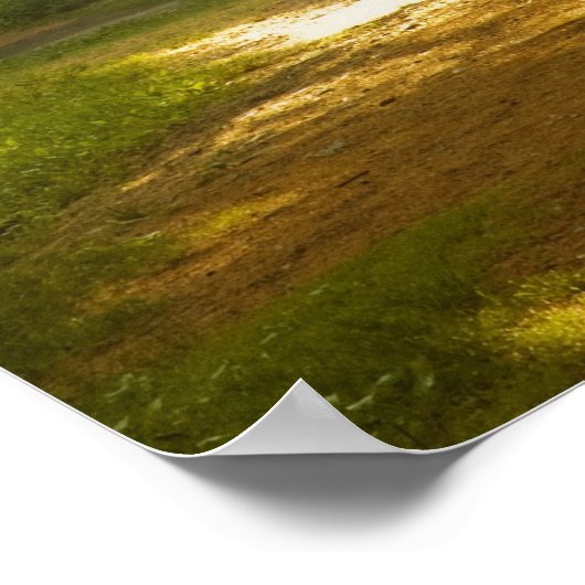 Poster Rayons de lumière dans la forêt (Coin)