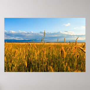 Poster Rayons de soleil sur champ de blé avec montagnes