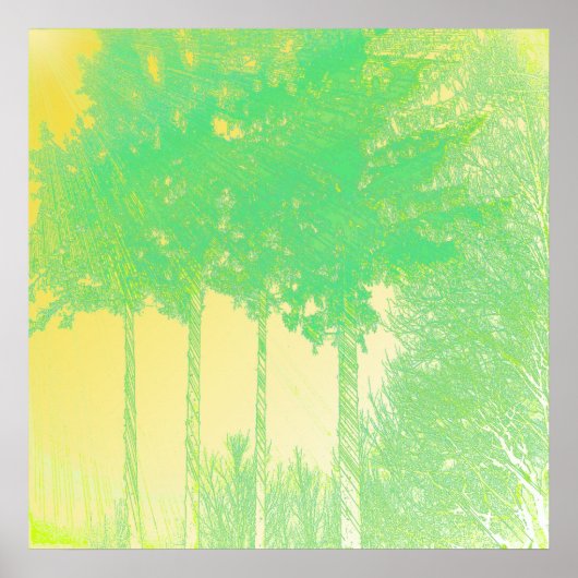 Poster Rayons d'espoir 3 arbres Imprimer (Devant)